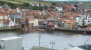 whitby regatta limited
