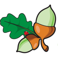 acorn early years foundation