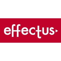 effectus construction services ltd