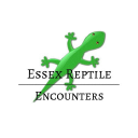 essex reptile ltd.