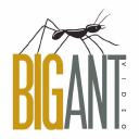 big ant video ltd
