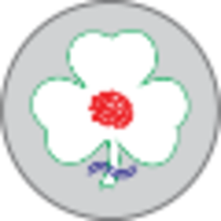 douglas winters associates limited