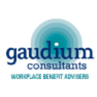 gaudium consultants limited