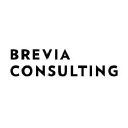 brevia consulting limited