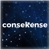 consekense ltd