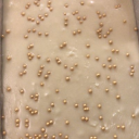 paperless wedding limited