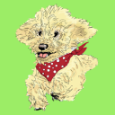 daisy doodle limited