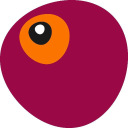 see research limited