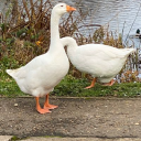 citizen equity limited