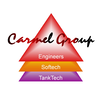 carmel (group) limited