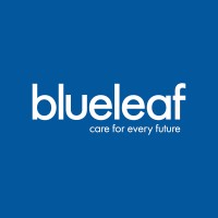 blueleaf limited