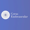 cerus endovascular limited