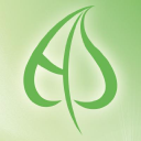 aesthetic source limited