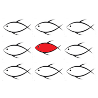 william howard associates limited