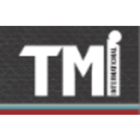 t m international search limited