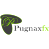 pugnax fx capital limited