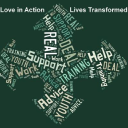 real deal plus limited