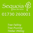 sequoia tree services limited