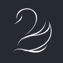 black swan dental spa limited