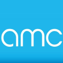 amc executive search ltd