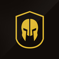 protectus security solutions ltd