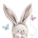 bebunni ltd