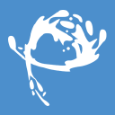 pool platforms limited