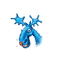 the blue moose graphic company limited