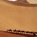 silk route spice company limited