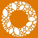 the orange tree bar & grill limited