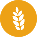 ryefield court care limited