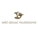 wild about mushrooms ltd