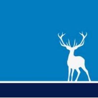 bluestag coaching ltd