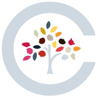 cotton tree interiors limited