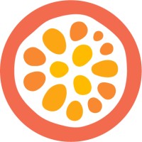 disciple media limited