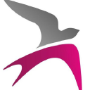 wilson tominey group limited