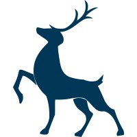 sussex campervans ltd