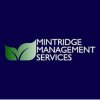 mintridge management services ltd