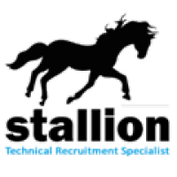 stallion recruitment limited