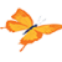 chrysaliscareathome limited