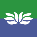 kew house school limited