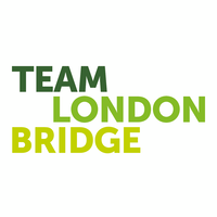 team london bridge limited