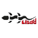 lizard nde limited
