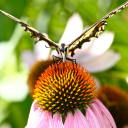 183 norwood road limited