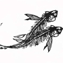 black rat projects limited