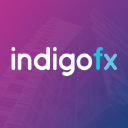 indigo fx ltd