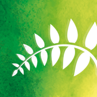 forest holidays limited