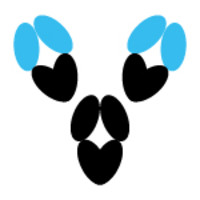 absolute antibody limited