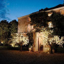 enchanted trees limited