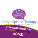 bridge speech therapy limited